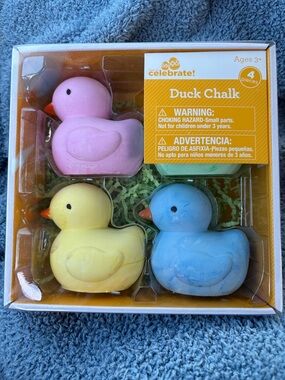 Duck Chalk Set - Pink, Yellow, Blue and green Chalk ducks